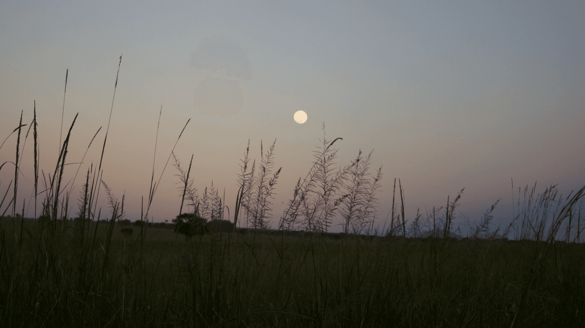 Savana africana ao entardecer