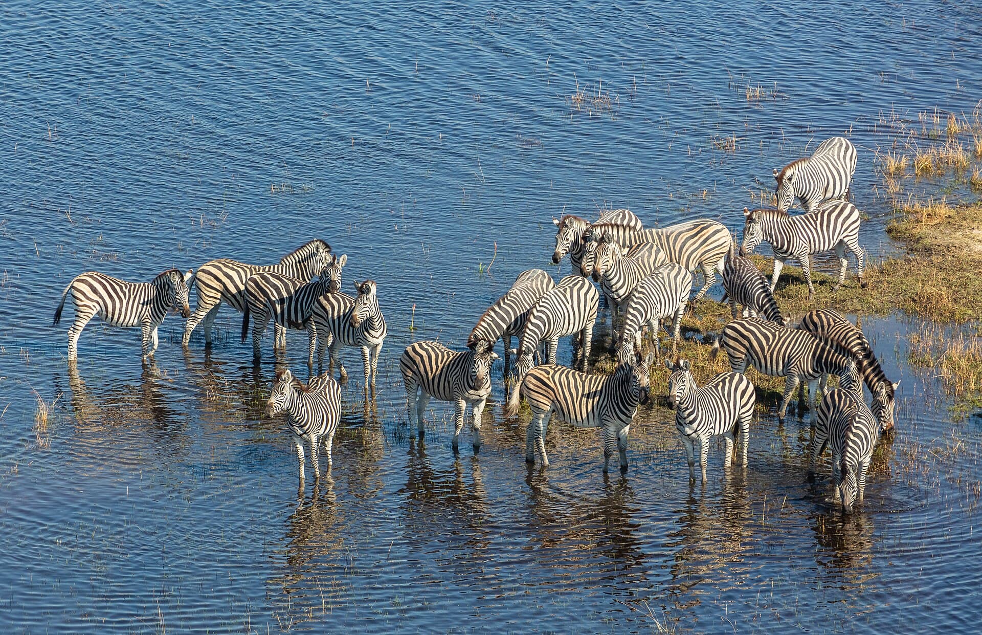 Vista aérea do Delta do Okavango, em Botswana