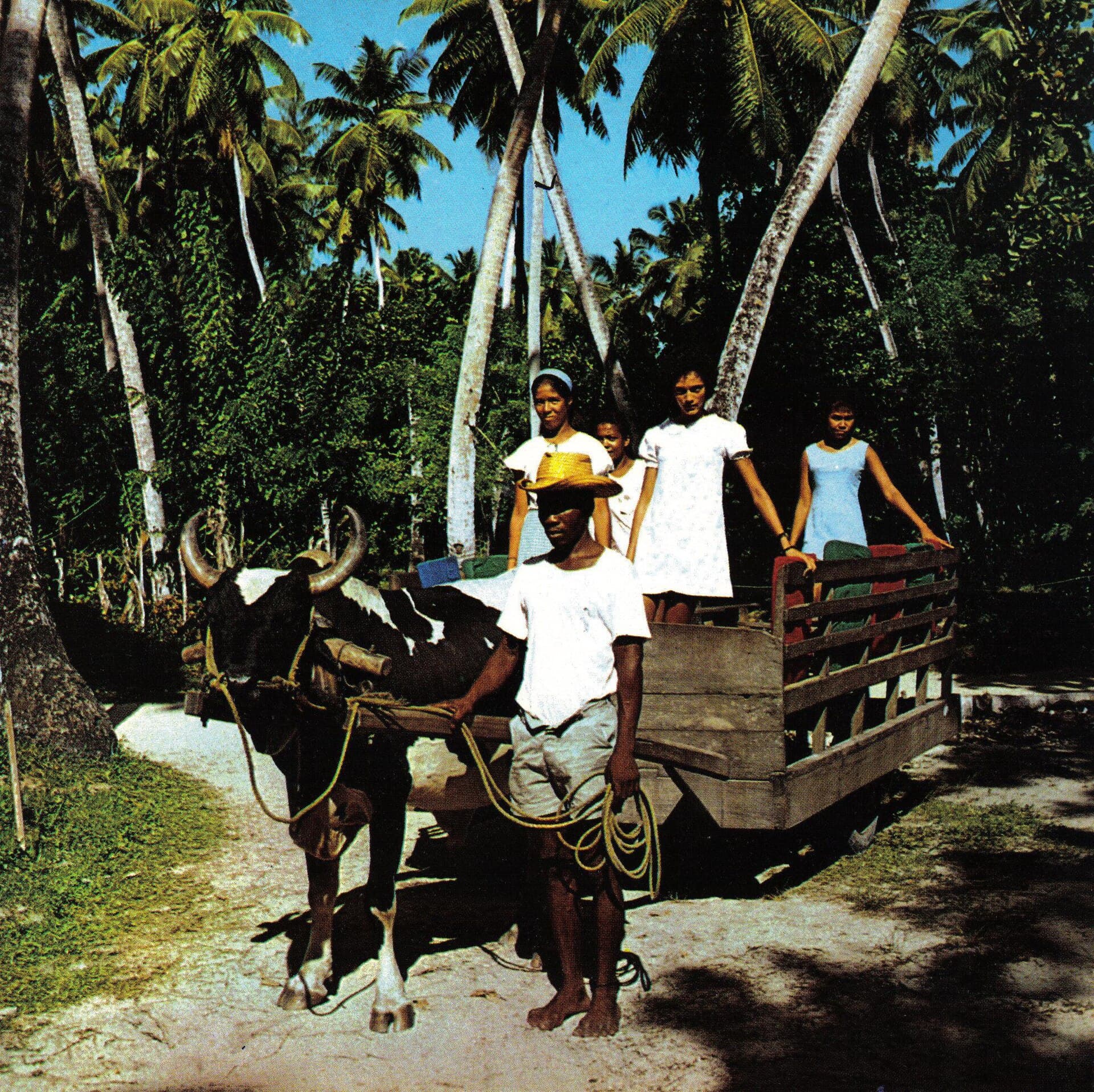 Carroça puxada por boi, meio de transporte tradicional em La Digue, Seychelles