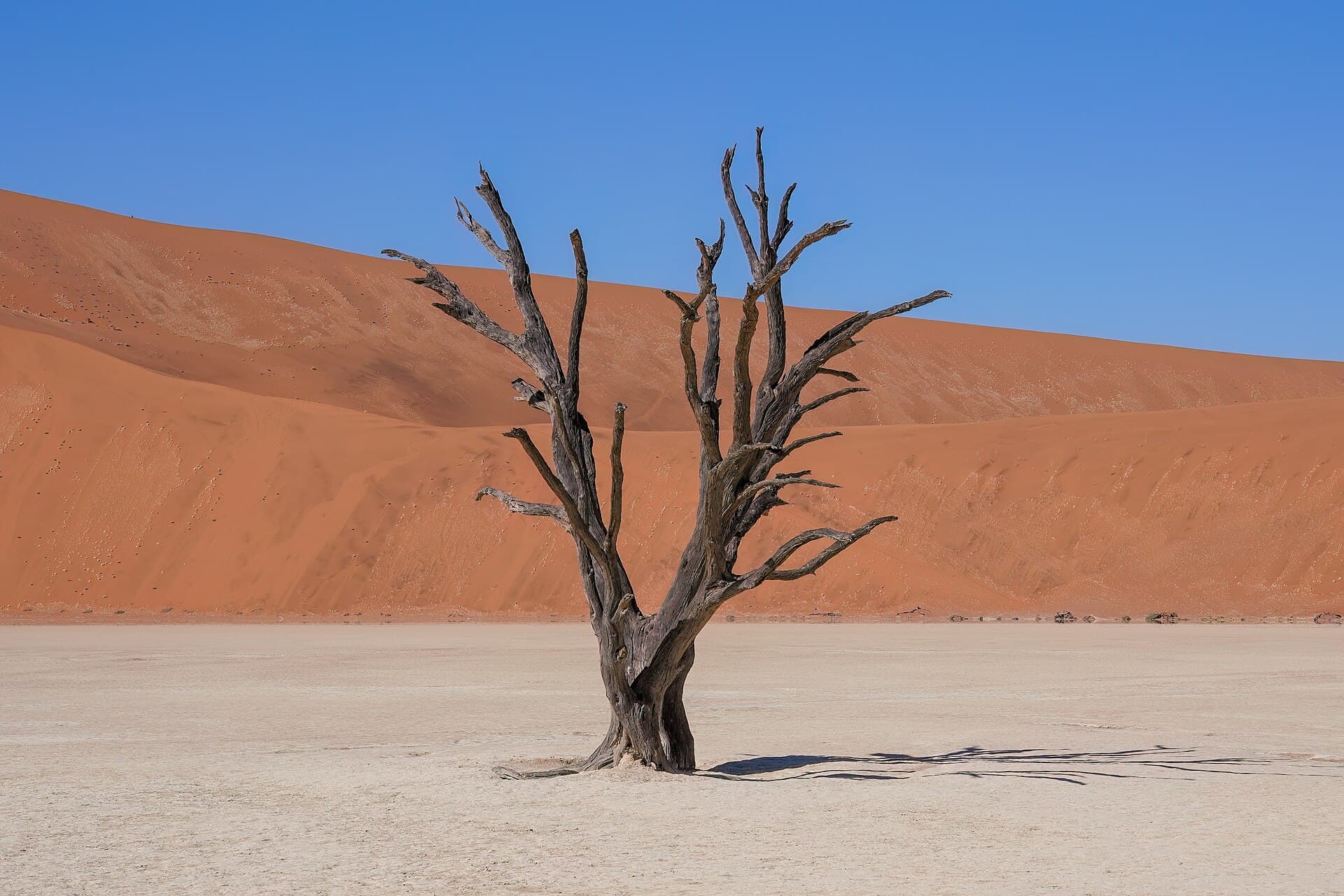Deadvlei, a planície de argila com árvores mortas há séculos, na Namíbia