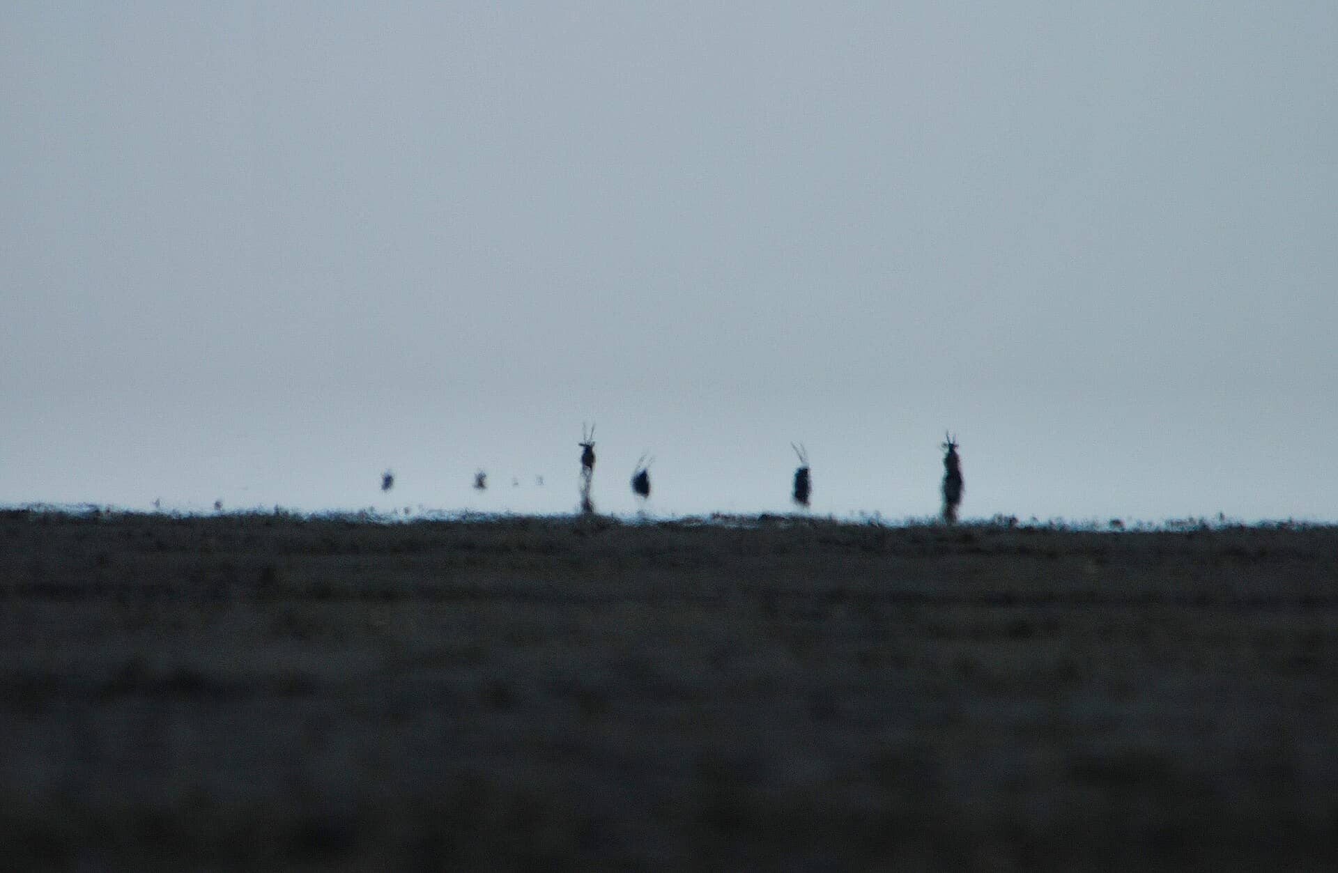 Etosha Pan, o grande pan salgado da Namíbia