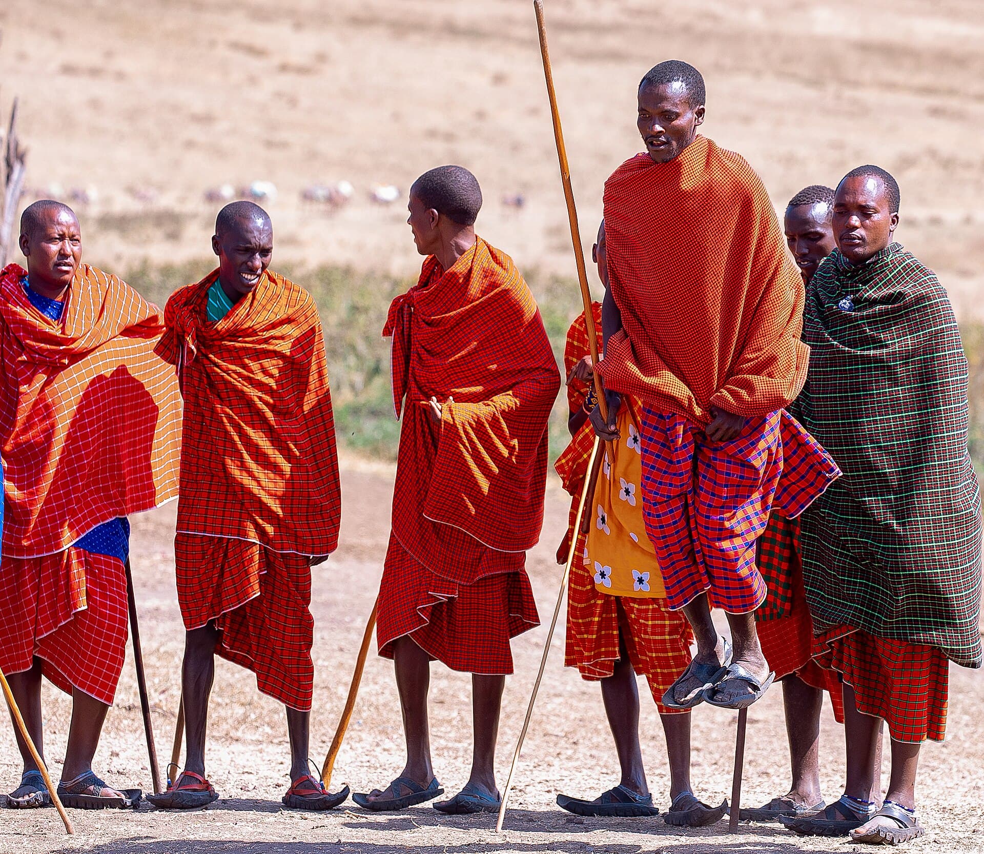 Guerreiros maasai durante o adumu, a dança do salto