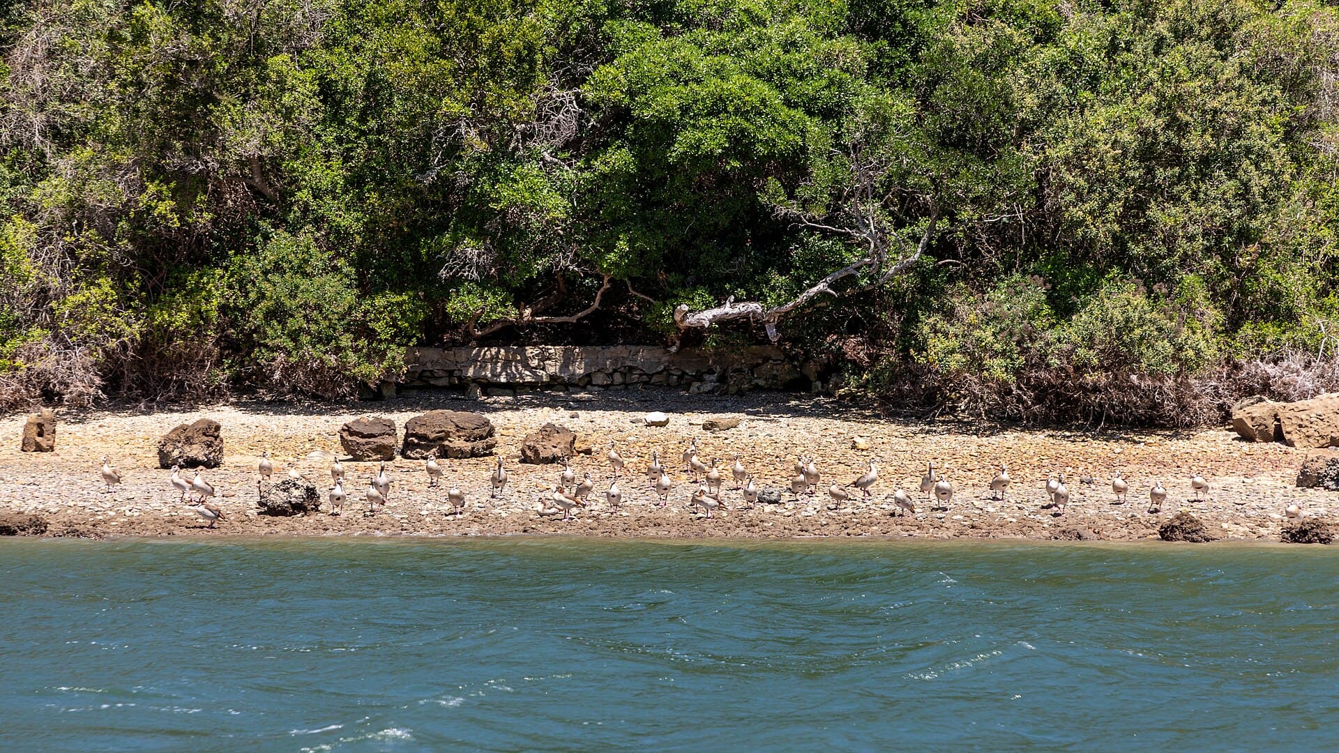 Lagoa de Knysna, na Garden Route, África do Sul