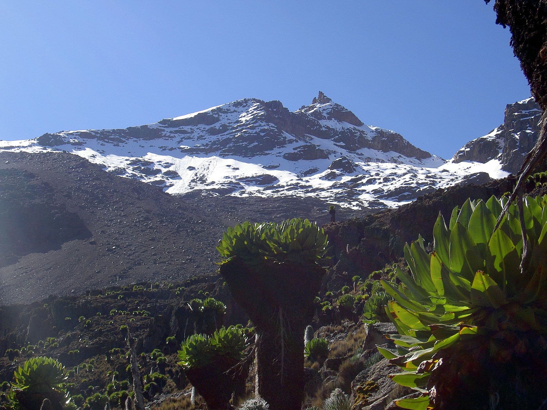 Point Lenana, pico alcançável por trekking no Monte Quênia