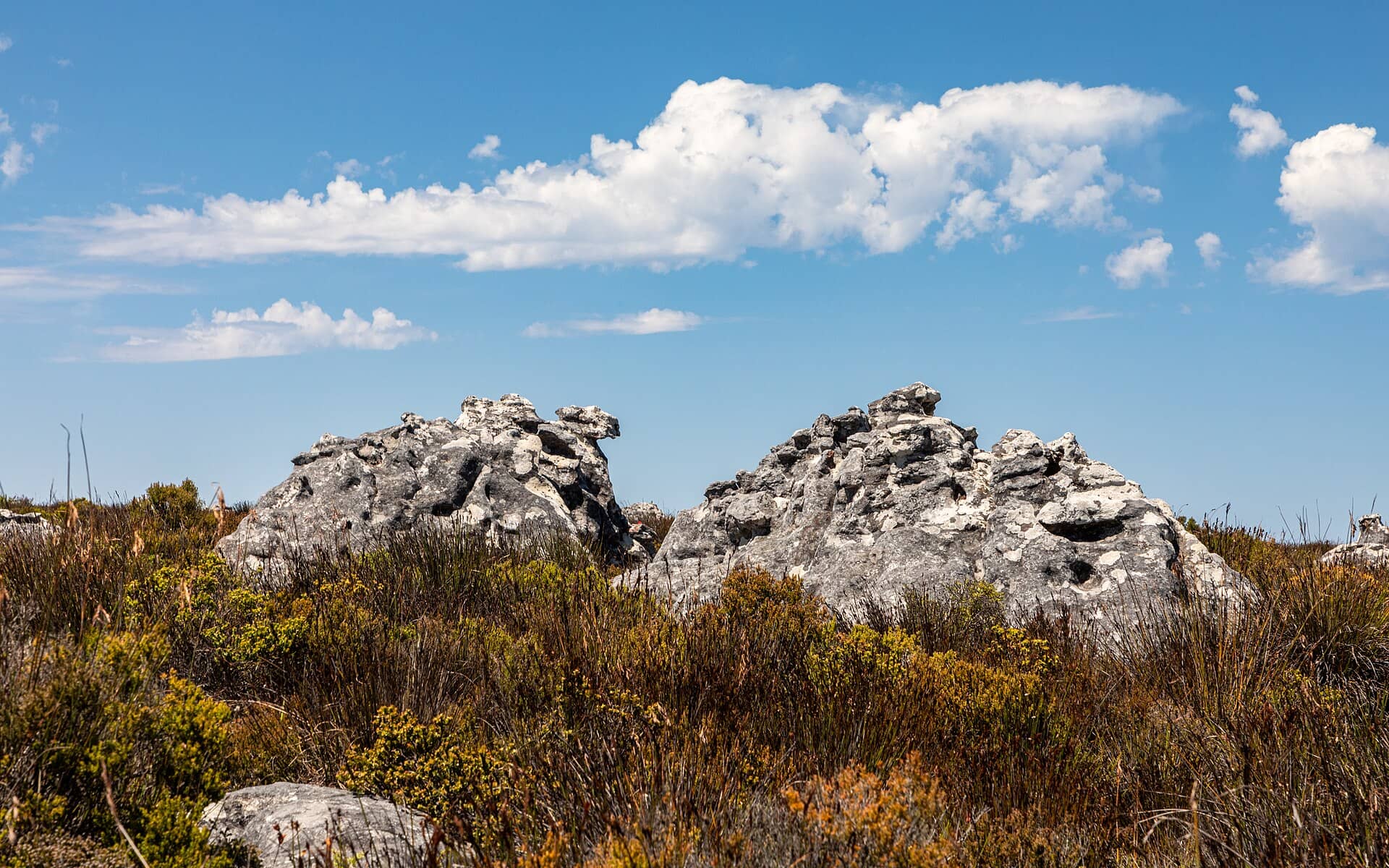 Table Mountain, o cartão-postal da Cidade do Cabo