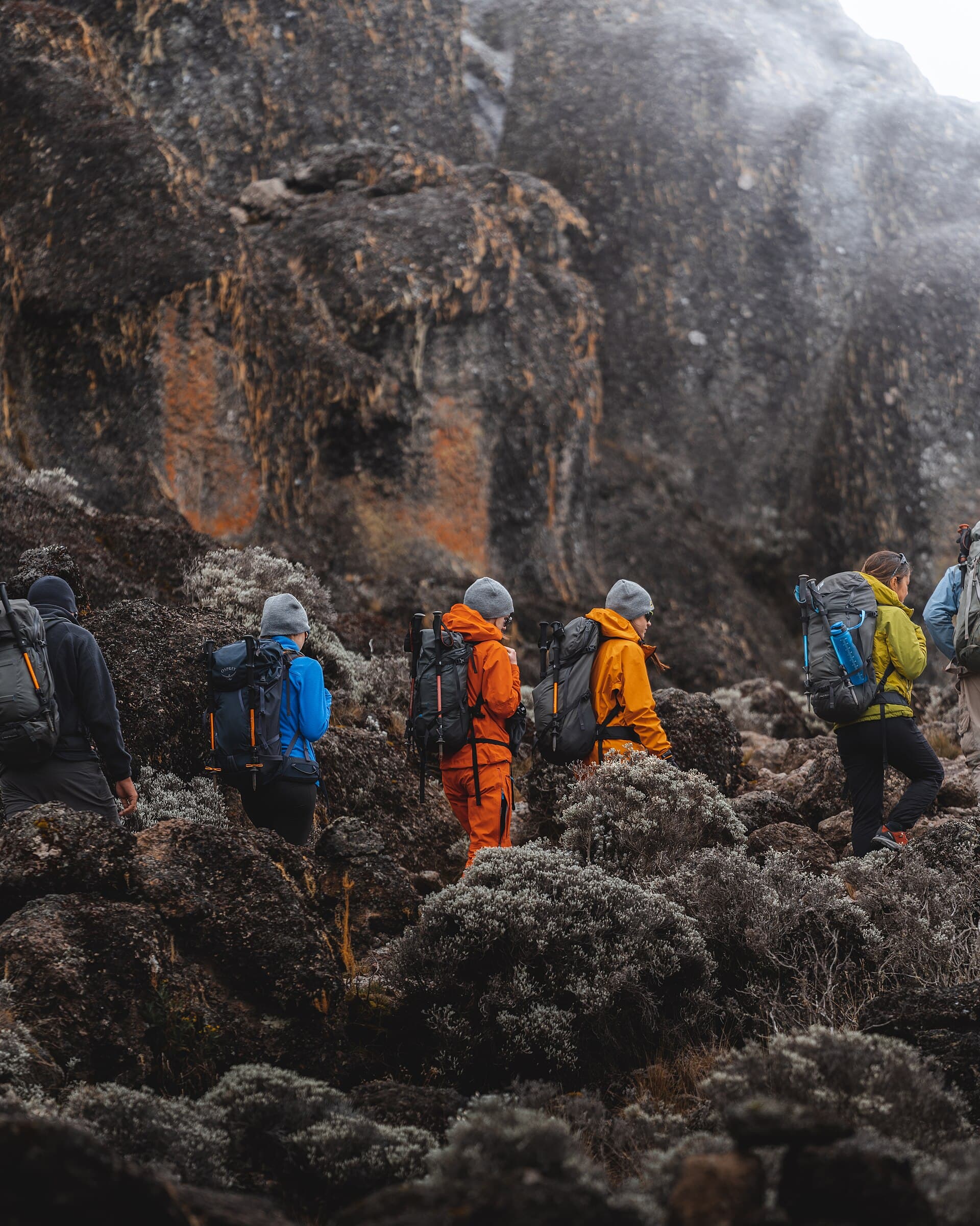 Trekkers na trilha de subida do Kilimanjaro