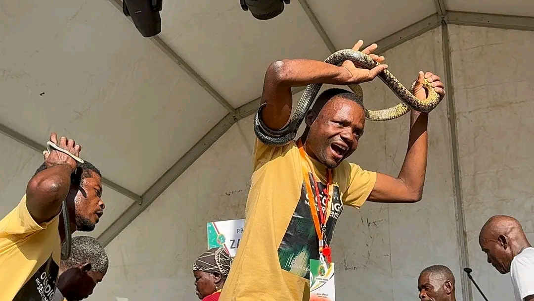 Dança das Cobras na Zambézia – História, Cultura e Turismo