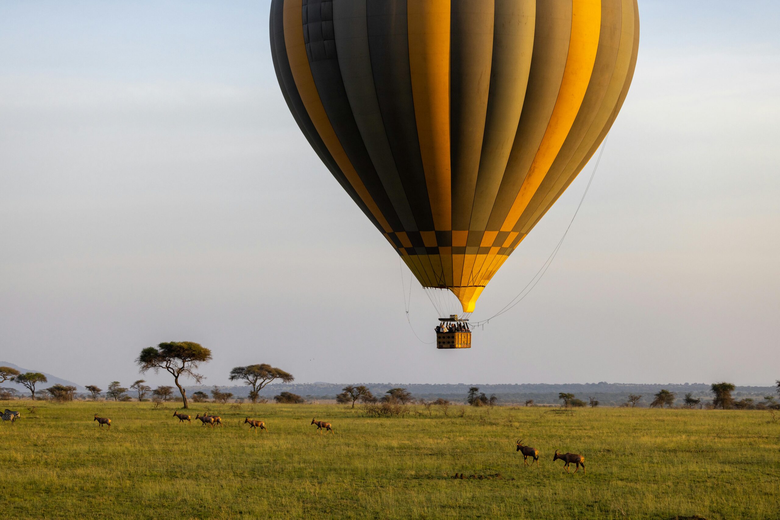 Quanto Custa e Como Organizar um Passeio de Balão na África