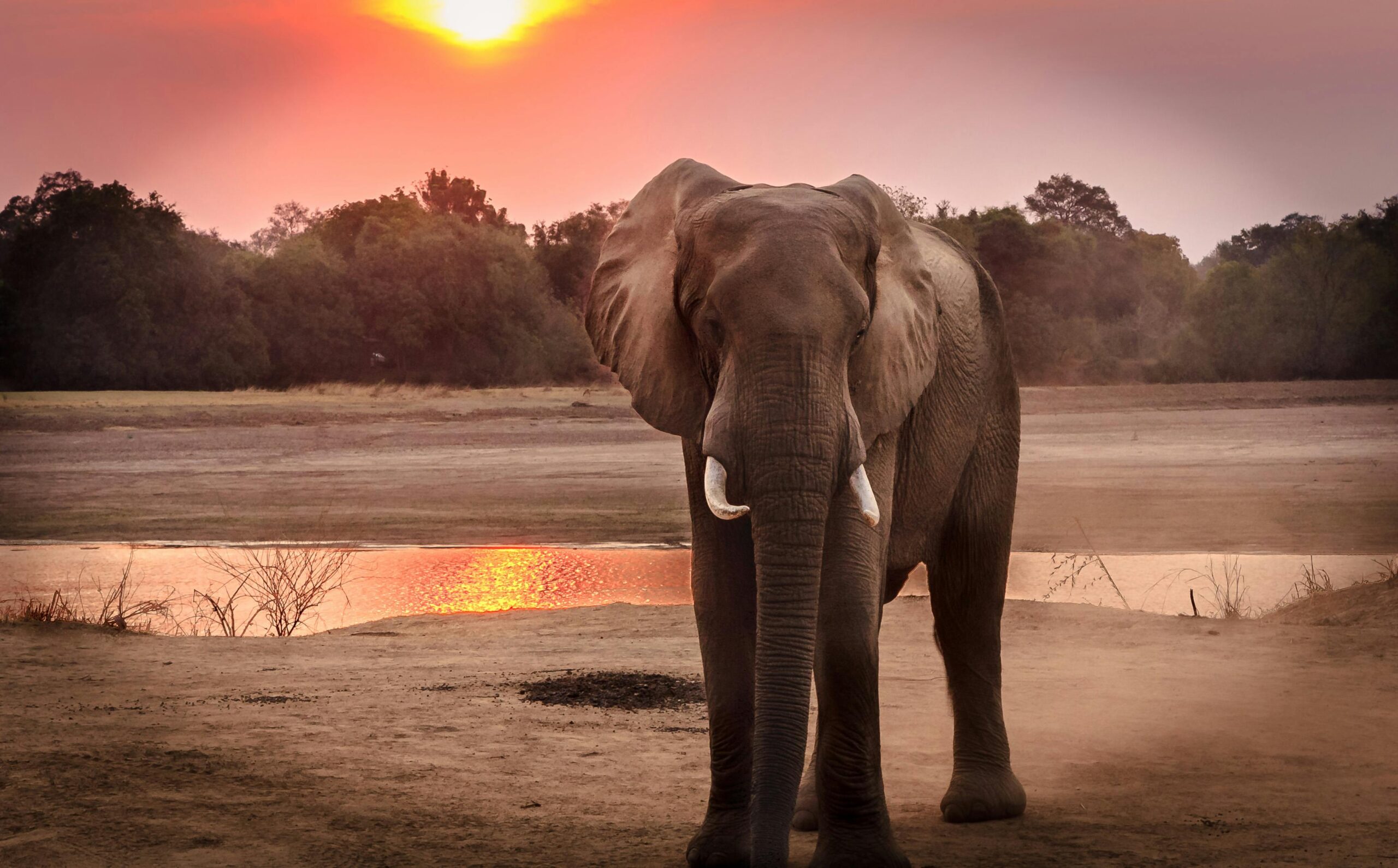 Parque Nacional do Serengeti – Tanzânia