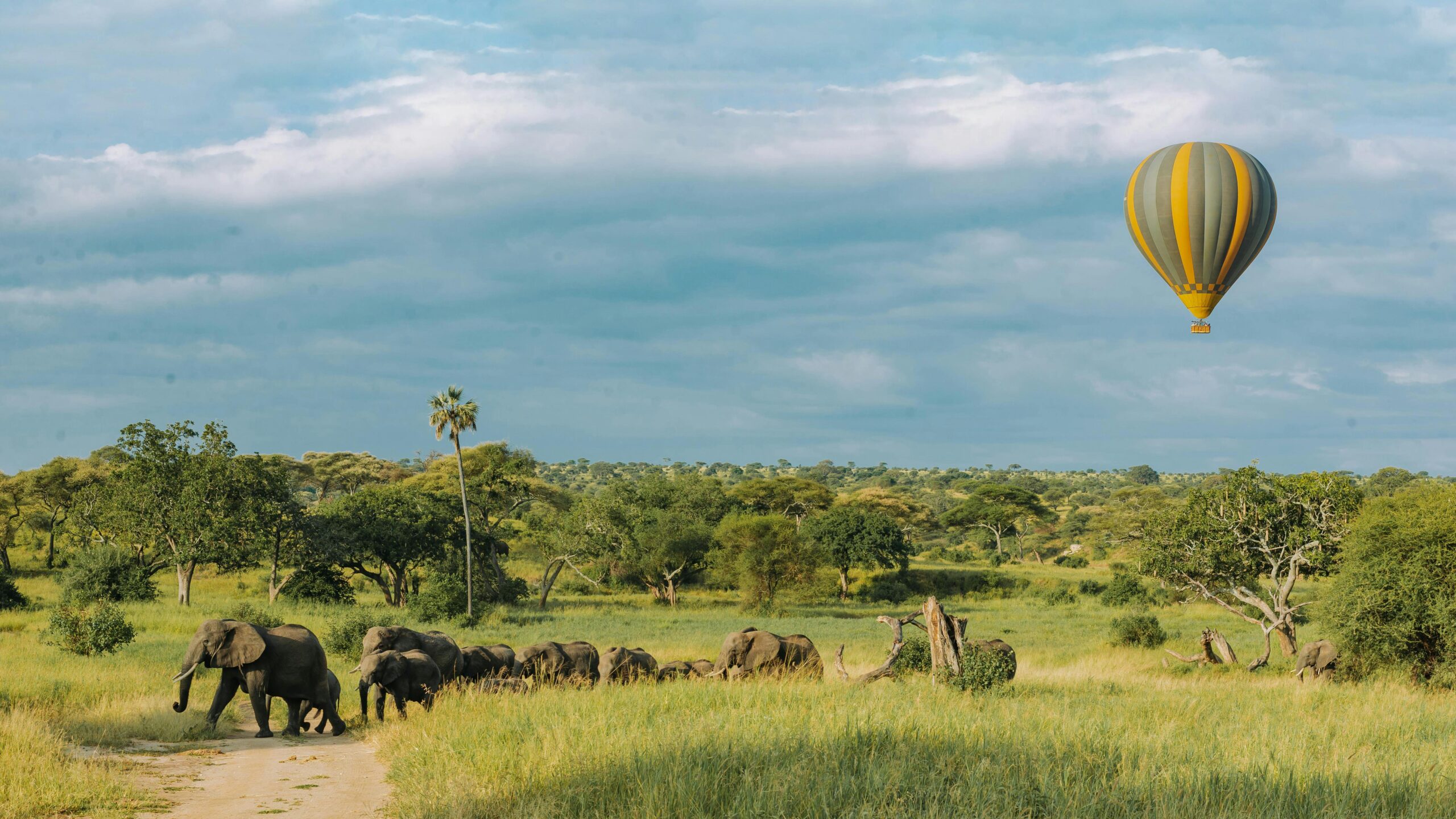 10 Motivos para Fazer um Passeio de Balão na Sua Próxima Viagem à África