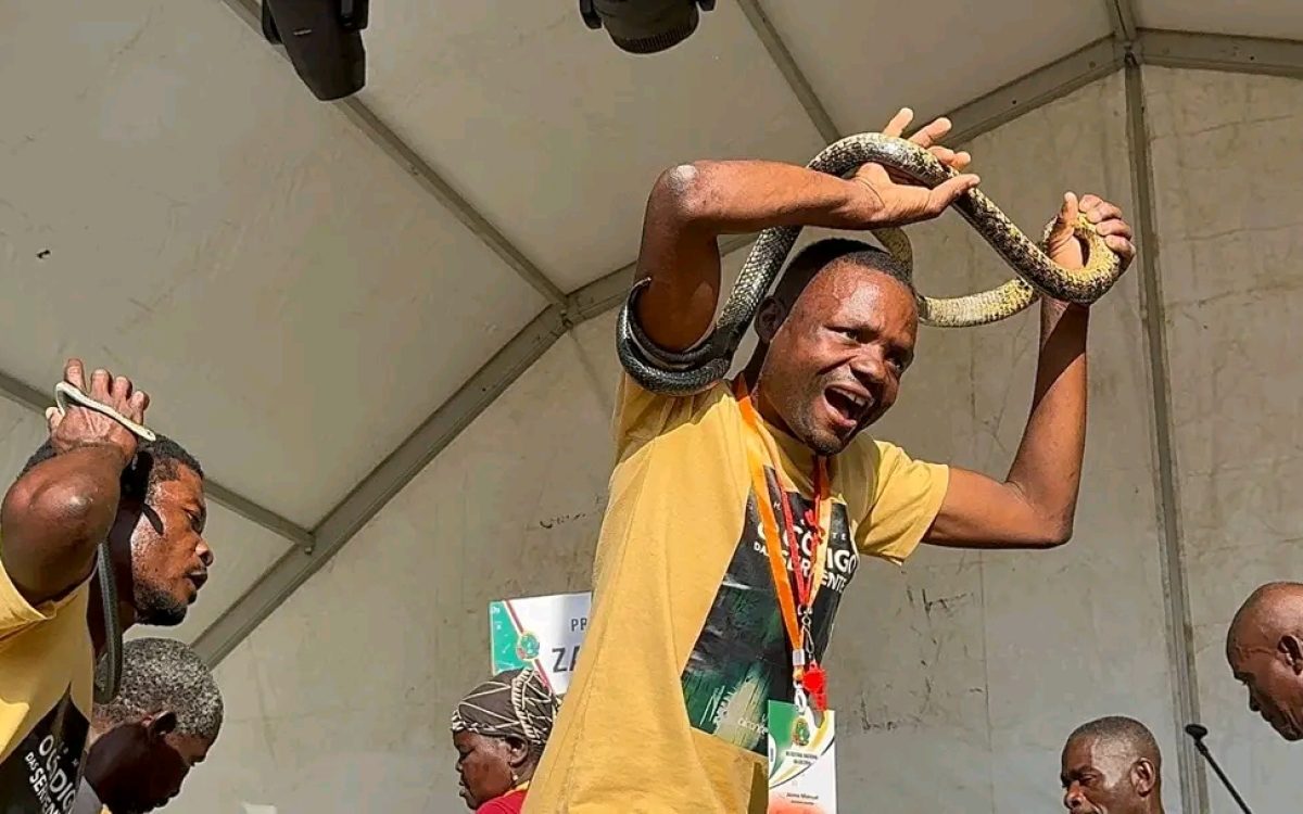 Dança das Cobras na Zambézia – História, Cultura e Turismo