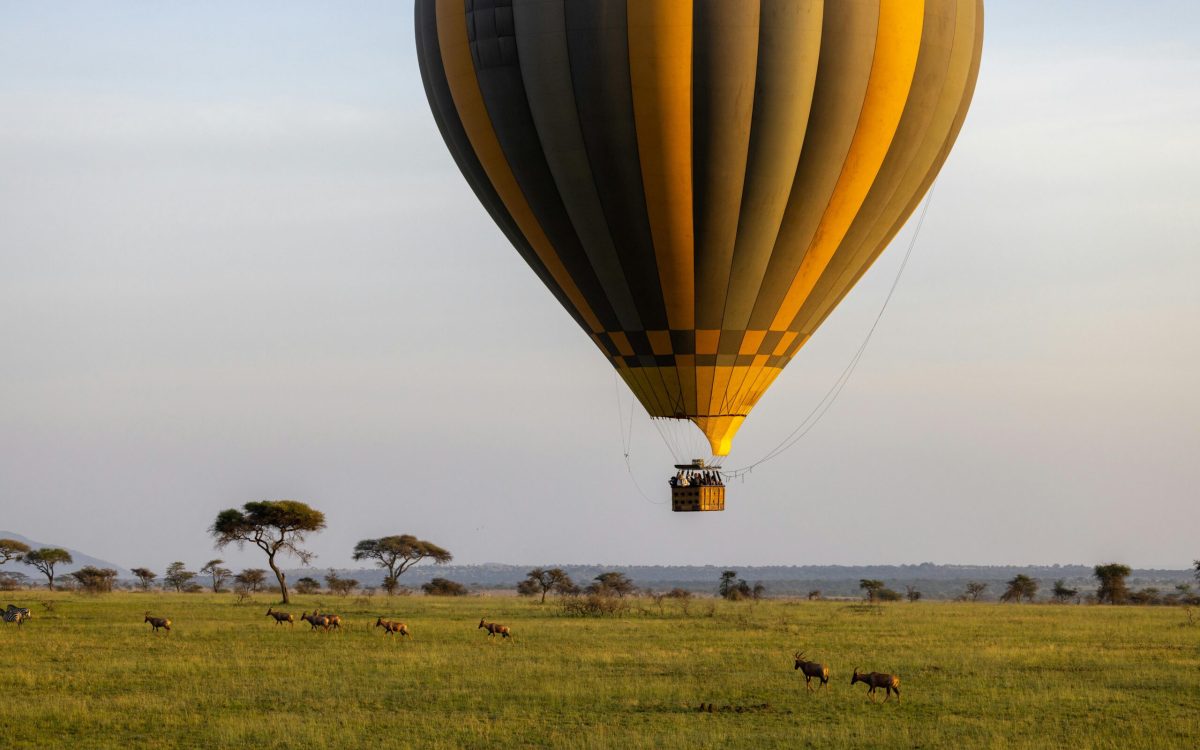 Quanto Custa e Como Organizar um Passeio de Balão na África