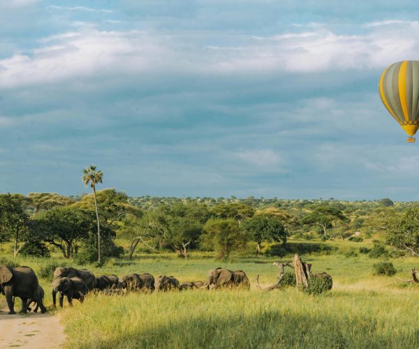10 Motivos para Fazer um Passeio de Balão na Sua Próxima Viagem à África