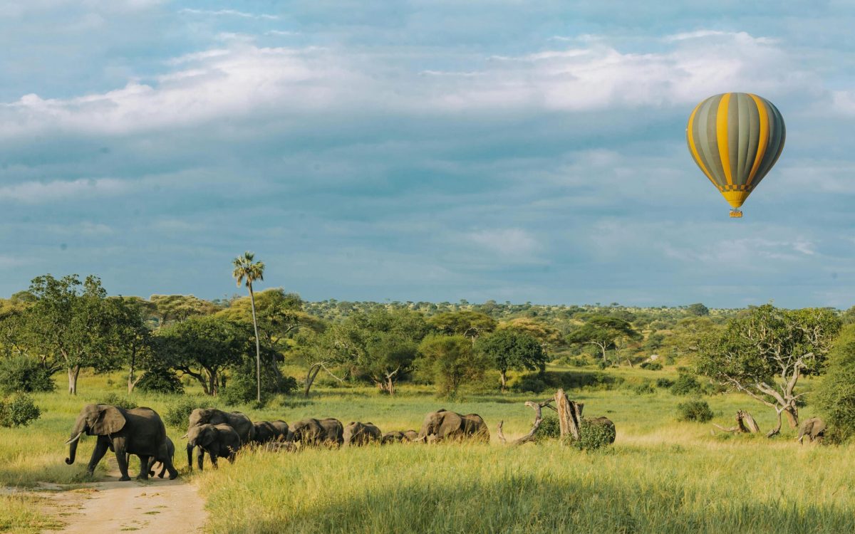 10 Motivos para Fazer um Passeio de Balão na Sua Próxima Viagem à África